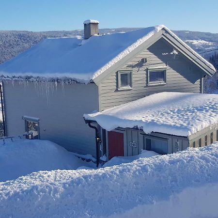 Lille Randklev Gaestehus Ringebu Bagian luar foto