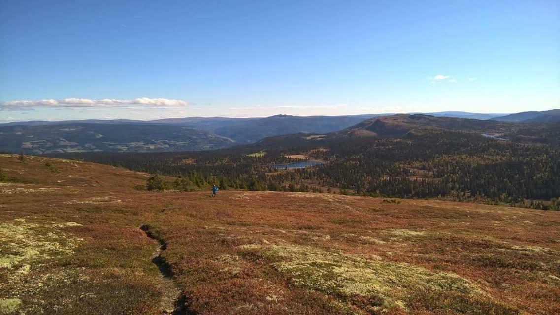 Lille Randklev Gaestehus Ringebu Bagian luar foto